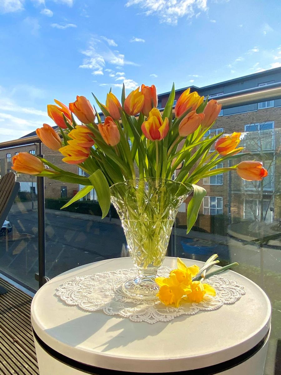 Tử vi ngày 8/5/2022 của 12 cung hoàng đạo